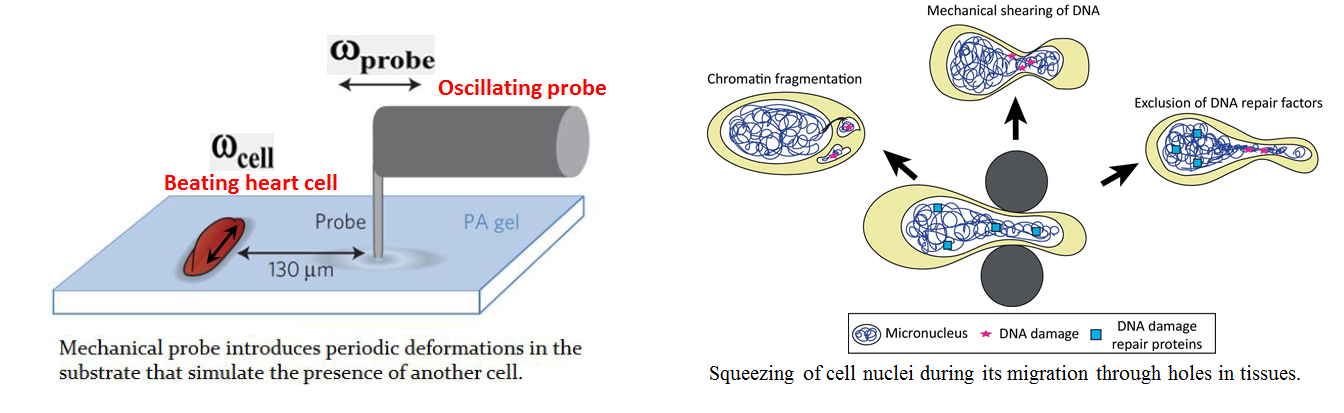 Pictures.png Pictures.png