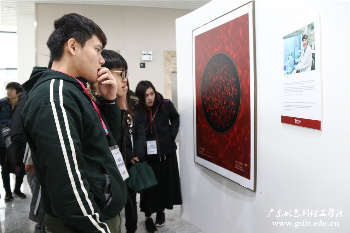 IMG_4443.jpg IMG_4443.jpg