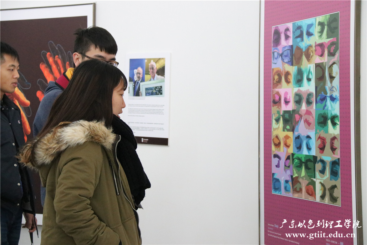 IMG_4449.jpg IMG_4449.jpg