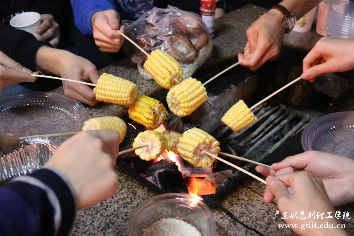 IMG_4535.jpg IMG_4535.jpg