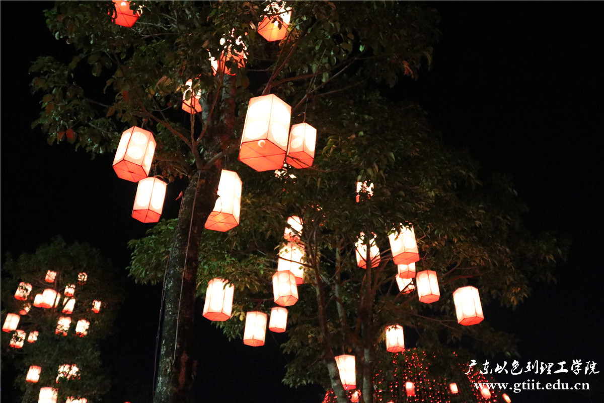 IMG_4517.jpg IMG_4517.jpg