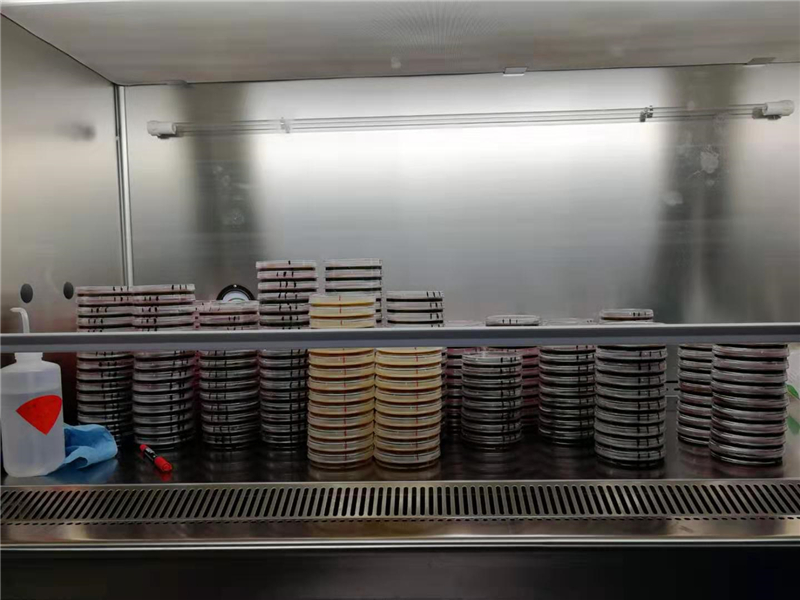 颜莞尔.jpg 颜莞尔.jpg