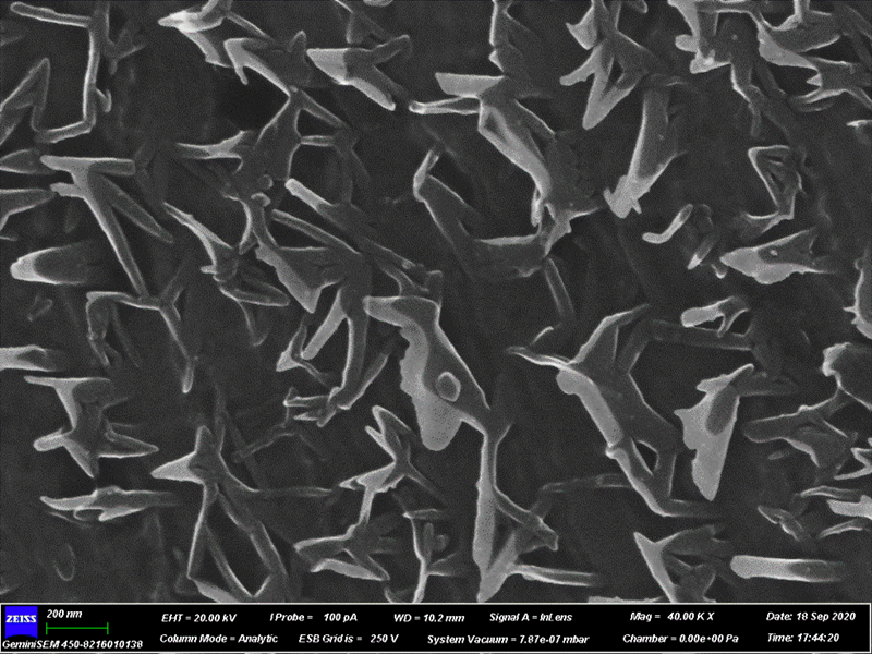 1_副本.png 1_副本.png