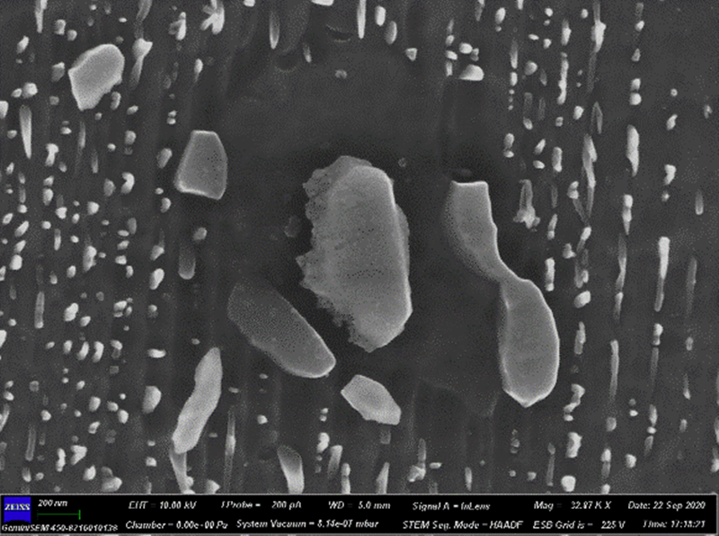 0000_副本.png 0000_副本.png