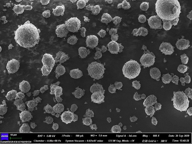 555_副本.jpg 555_副本.jpg