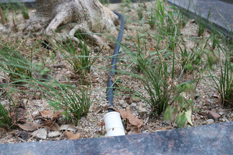 IMG_9335.jpg IMG_9335.jpg