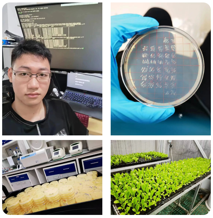 微信图片_20240308155432.png 微信图片_20240308155432.png