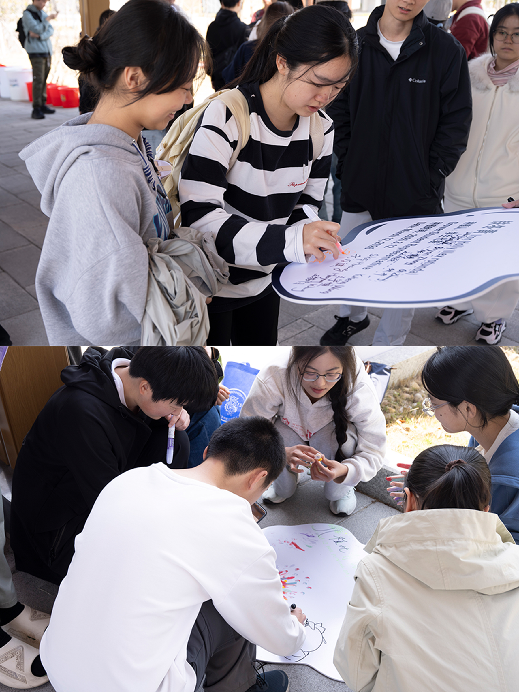 微信图片_20260313091916.jpg 微信图片_20260313091916.jpg