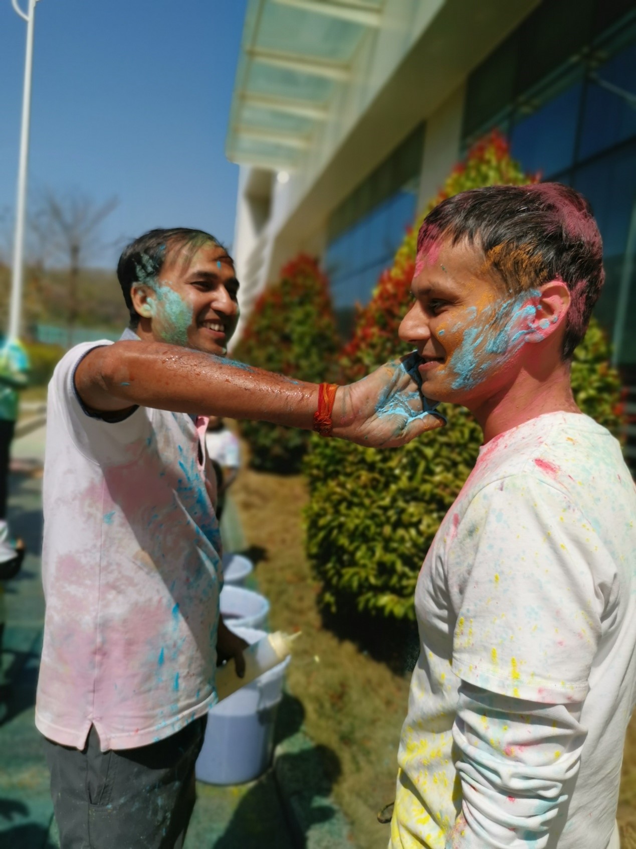 Picture5.jpg Picture5.jpg